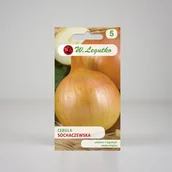 Nasiona i cebule - Cebula Sochaczewska Żółta 5g - Nasiona - W. Legutko - miniaturka - grafika 1