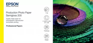 Epson Papier fotograficzny Production Photo Paper Semigloss 200 44&quot; x 30m 200g/m2 C13S450378 - Papier do drukarek - miniaturka - grafika 1