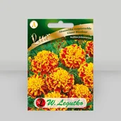 Nasiona i cebule - Aksamitka rozpierzchła Giant Bicolour wielobarwna 0.5g - Nasiona - W. Legutko - miniaturka - grafika 1