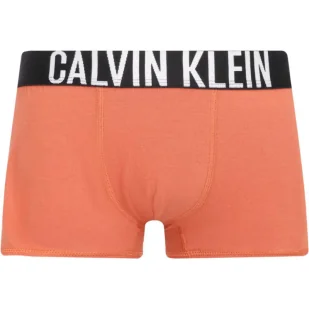 Calvin Klein Underwear Bokserki 2-pack - Majtki dla dzieci - miniaturka - grafika 1