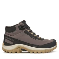 Buty trekkingowe damskie - Trekkingi Salomon Shelter Waterproof L47855200 Brązowy - miniaturka - grafika 1