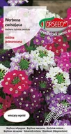 Nasiona i cebule - Nasiona Werbena zwisająca mieszanka 0,1g - Torseed - miniaturka - grafika 1