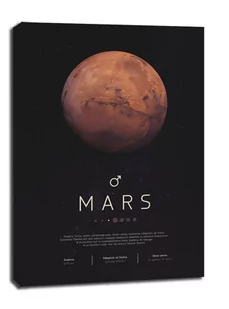 Mars - obraz na płótnie Wymiar do wyboru: 60x80 cm - Obrazy i zdjęcia na płótnie - miniaturka - grafika 1