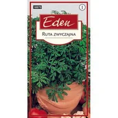 Nasiona i cebule - Ruta zwyczajna 0,2 g Eden - miniaturka - grafika 1