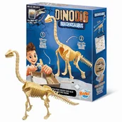 Zabawy w naśladowanie dorosłych - Mały paleontolog Buki - Brachiozaur z gipsu, szkielet do złożenia 8 lat+ - miniaturka - grafika 1