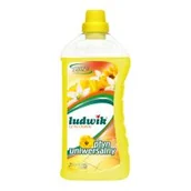 Środki do podłóg i mebli - Inco-Varitas Płyn uniwersalny Ludwik letni ogród 1 l - miniaturka - grafika 1