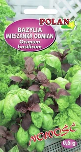 NASIONA Bazylia Pospolita Mieszanka Odmian Mix Gatunków 0,5g POLAN 113830 - Nasiona i cebule - miniaturka - grafika 1