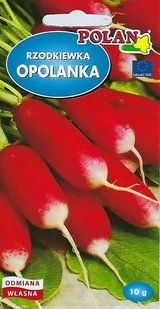 Rzodkiewka Opolanka Nasiona 10g Polan - Nasiona i cebule - miniaturka - grafika 1