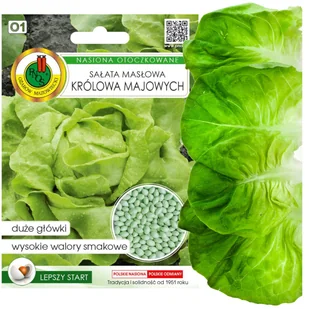 SAŁATA MASŁOWA KRÓLOWA MAJOWYCH  NASIONA BEZ GMO - Nasiona i cebule - miniaturka - grafika 1