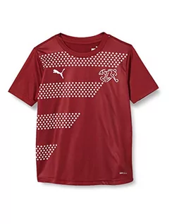 Koszulki dla chłopców - PUMA PUMA Chłopięca koszulka stadionowa Sfv Jr T-shirt Granat 164 757524 - grafika 1