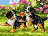 Malowanie po numerach - Norimpex Diamentowa mozaika Bawiące się szczeniaki 30x40cm 1006963 - miniaturka - grafika 1