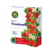 Nawozy ogrodnicze - Nawóz na truskawki karton 1 kg Ogród Start - miniaturka - grafika 1