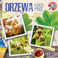 Baśnie, bajki, legendy - Rosnę i odkrywam Drzewa wokół nas Nowa - miniaturka - grafika 1