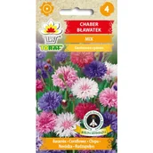 Nasiona i cebule - Chaber bławatek mix nasiona kwiatów 2g TORAF - miniaturka - grafika 1
