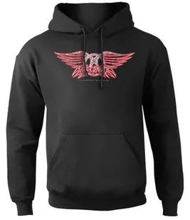 bluza AEROSMITH - LOGO, kangurka z kapturem-XXL - Bluzy męskie - miniaturka - grafika 1
