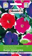 Nasiona i cebule - Petunia ogrodowa Iluzja mix 0,05 g Plantico - miniaturka - grafika 1
