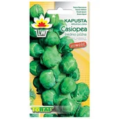 Nasiona i cebule - KAPUSTA BRUKSELKA CASIOPEA 2g Toraf - miniaturka - grafika 1