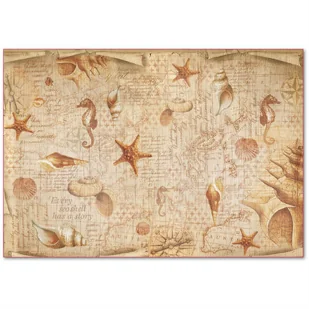Papier ryżowy Stamperia 48x33 cm muszle - Decoupage - miniaturka - grafika 1