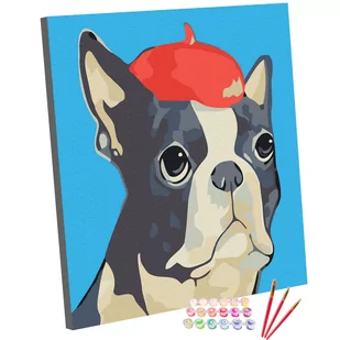 Zestaw do malowania po numerach, 20x20, Boston Terrier w Berecie - Malowanie po numerach - miniaturka - grafika 1