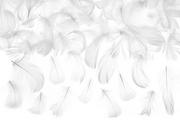 Dekoracje sali - Party Deco Piórka dekoracyjne białe - 50 szt. PD1-008 - miniaturka - grafika 1