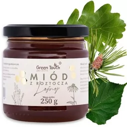 Miód leśny nektarowo spadziowy 250 g spadź liściasta miody z Roztocza - Miód - miniaturka - grafika 1