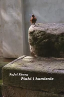 Książki o kulturze i sztuce - Ptaki i kamienie - miniaturka - grafika 1