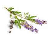 Pasze dla zwierząt - Niepokalanek pospolity EQUIHERBS 500g - miniaturka - grafika 1