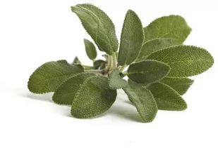 EQUIHERBS Szałwia 0,2 kg - Akcesoria jeździeckie - miniaturka - grafika 1