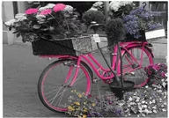 Artykuły biurowe - Panta Plast Koperta A4 na napę z nadrukiem Bike - miniaturka - grafika 1