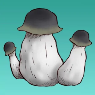 Mykożerca Growkit APE - Nasiona i cebule - miniaturka - grafika 1