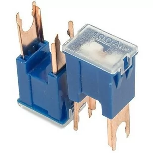 Bezpieczniki JAPVAL typ M MALE 100A 2 szt Z0-1555 - Bezpieczniki elektryczne - miniaturka - grafika 1