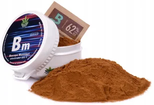 BACOPA MONNIERI EKSTRAKT 25:1 Bakopa Drobnolistna 25x pamięć 55% Bakozydów - Suplementy naturalne - miniaturka - grafika 1