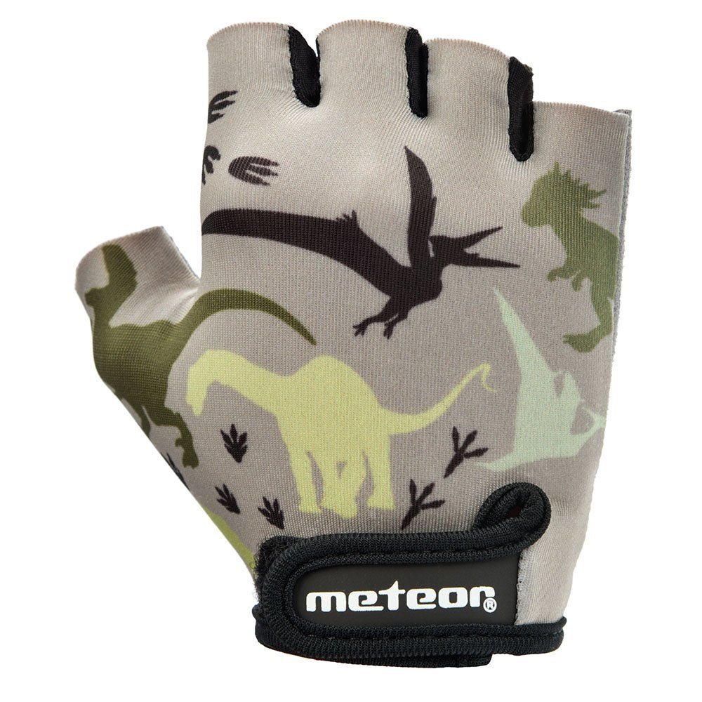 METEOR JUNIOR DINOSAURS S