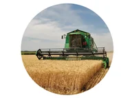 Ciasta i półprodukty do ciast - Dekoracyjny opłatek tortowy Kombajn - 20 cm - miniaturka - grafika 1