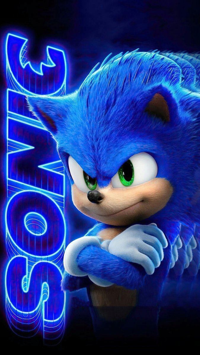PUZZLE SONIC The Hedgehog A3 252 el z Nadrukiem + IMIĘ Pudełko