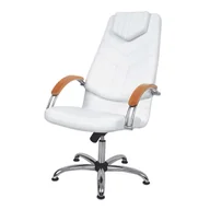 Krzesła i taborety kosmetyczne - DINO I Fotel kosmetyczny z podłokietnikami Rodzaj obicia: Skaj Basic, Podłokietnik: Drewniany - miniaturka - grafika 1