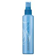 Odżywki do włosów - Sebastian FLAUNT SHINE DEFINE spray nabłyszczający do włosów 200ml 14940 - miniaturka - grafika 1