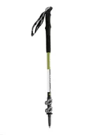 Kije trekkingowe - Kije trekkingowe Masters Eiger - black/green - miniaturka - grafika 1