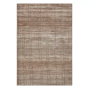 Brązowo-beżowy dywan 120x80 cm Terrain - Hanse Home - Dywany - miniaturka - grafika 1