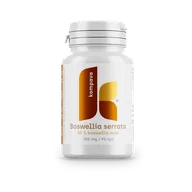 Stawy, mięśnie, kości - Boswellia serrata 305mg/90kps - miniaturka - grafika 1