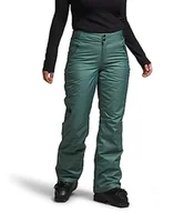 Spodnie męskie - THE NORTH FACE Sally Spodnie Ciemna szałwia XXL - miniaturka - grafika 1