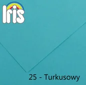 Szkolne artykuły papiernicze - Tektury Iris 29,7 x 42 cm Turkusowy 185 g (50 Sztuk) - miniaturka - grafika 1