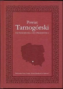 Powiat tarnogórski. Od rzemiosła do przemysłu - Historia świata - miniaturka - grafika 1