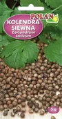 Nasiona i cebule - NASIONA Kolendra Siewna 5g POLAN Miododajna 114103 - miniaturka - grafika 1