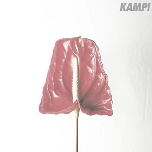 Agora Kamp! Kamp! - Kamp! - Książki o muzyce - miniaturka - grafika 2