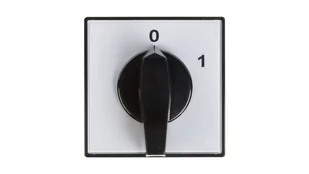 Apator Łącznik krzywkowy 4G40-10-U IP40 63-840304-041 - Wyłączniki światła i elektryczne - miniaturka - grafika 1