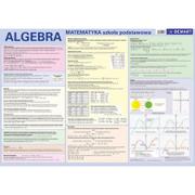 Pomoce naukowe - Plansza edukacyjna - Algebra + broszura - miniaturka - grafika 1