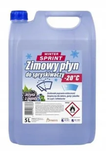Zimowy Płyn Do Spryskiwaczy 5L Jeżyna Z Jagodą - Płyny do spryskiwaczy - miniaturka - grafika 1
