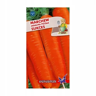 Marchew Sukces późna nasiona 5g / O / - Nasiona i cebule - miniaturka - grafika 1