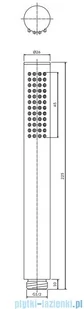 Omnires Microphone słuchawka prysznicowa 1-funkcyjna nikiel MICROPHONEX-RNI - Baterie umywalkowe - miniaturka - grafika 2